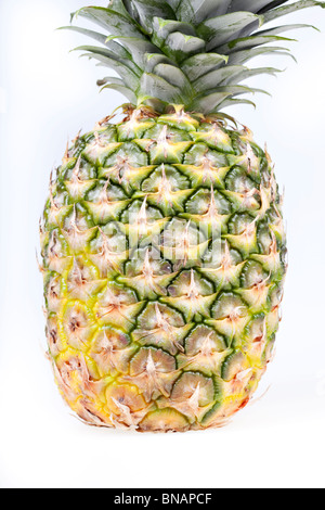 ripe pineapple isolated on white Stock Photo