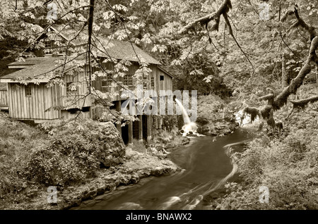 Cedar Creek Grist Mill in spring. Woodland, Washington Stock Photo