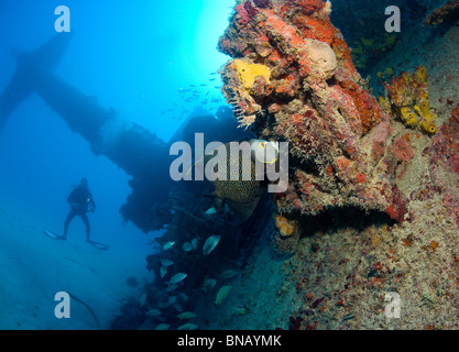 Scuba diver on shipwreck. Stock Photo