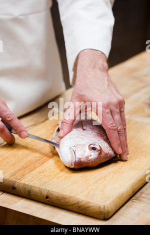 Male chef preparing fish in commercial kitchen Stock Photo