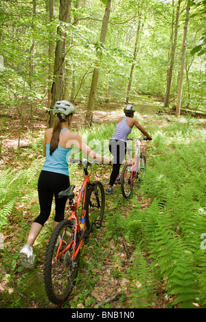 Two female cyclists in forest Stock Photo