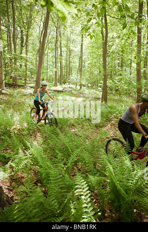 Two female cyclists in forest Stock Photo - Alamy