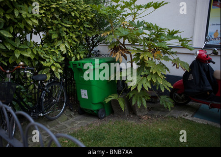 Facade Apartment, Garden, Paris, France, Entrance, Plastic wheely bin Garbage Cans, waste bins in front of building Stock Photo