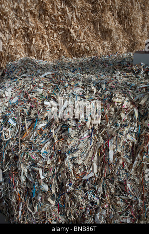 Trash, Recycled Waste Paper, Detail, Old Shredded Newspapers, Art Installation in Gallery Stock Photo