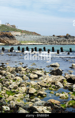 Remains of the wooden pier in in St. Ives, built in the 1860’s, Cornwall, UK Stock Photo