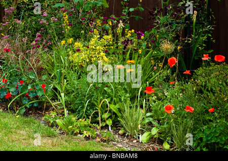 Mixed flower border in early summer in an English garden Stock Photo ...