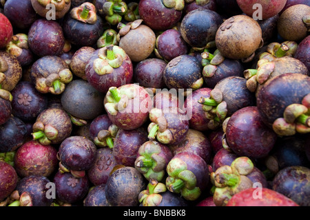 Purple Mangosteen fruit (Garcinia mangostana) Stock Photo
