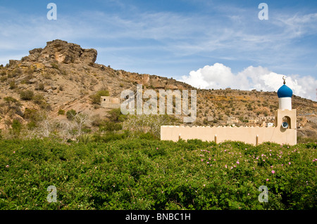 Mosque in Jabal el Akhdar  Al Dakhiliyah region Sultanate of Oman Stock Photo