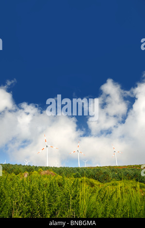 Eolic turbines –Paul de Serra, Madeira Stock Photo