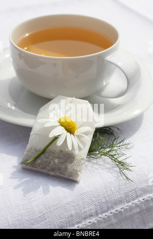 Teetasse mit Aufgussbeutel Kamillentee, Matricaria chamomilla