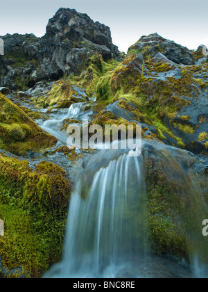 Creek among moss covered lava in Iceland's Central Highlands, Iceland Stock Photo