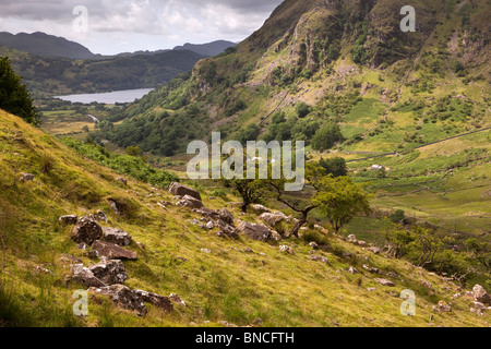 UK, Wales, Snowdonia, scenic landscape above Llyn Gwynant Stock Photo