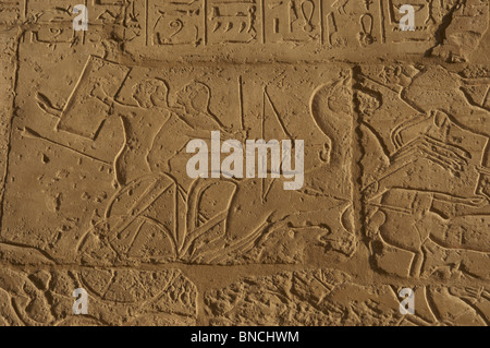 The Siege of Dapur. A syrian charioteer is protected from the egyptian arrows whith his shield. Ramesseum. Egypt. Stock Photo