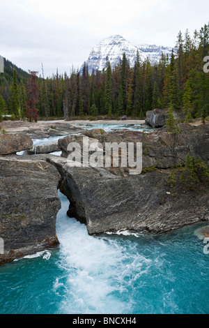 Natural Bridge rock formation over Kicking Horse River Mt Stephen in the background. Yoho National Park BC Canada Stock Photo