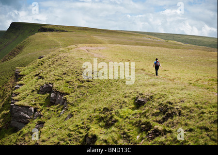 Female hiker on Bannu Sir Gaer ridge, Black Mountain, Brecon Beacons national park, Wales Stock Photo