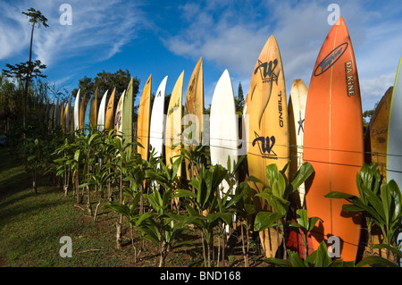 Used☆サーフボード☆MEL SURF BOARDS MAUI HAWAII☆ - メルカリ