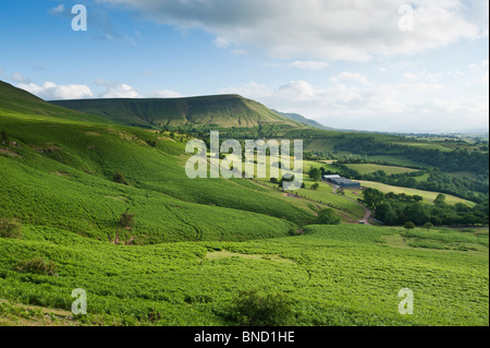View over common and farm lands towards Twmpa, Hay Bluff, Brecon Beacons national park, Wales Stock Photo