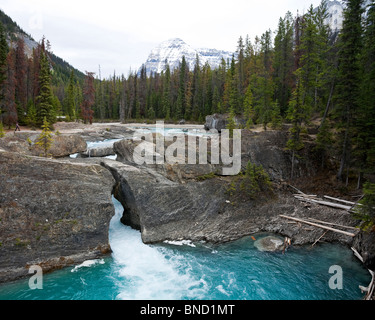 Natural Bridge rock formation over Kicking Horse River Mt Stephen in the background. Yoho National Park BC Canada Stock Photo