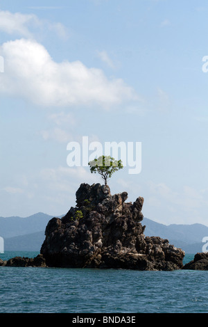 A small island with a single tree growing on it, off the coast of Phuket, Thailand Stock Photo