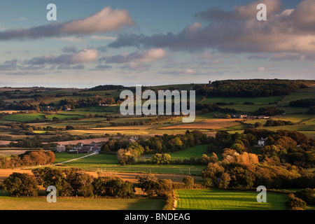 Late evening light from Knowle Hill nr Corfe Castle, Dorset Stock Photo