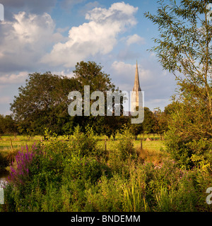 Evening summer sunshine on Salisbury Cathedral, Wiltshire viewed across the River Nadder from Harnham Stock Photo