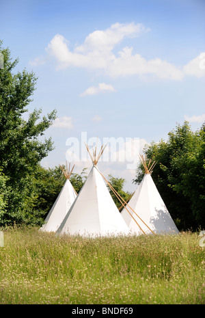 Luxury wigwam camping accommodation  UK Stock Photo