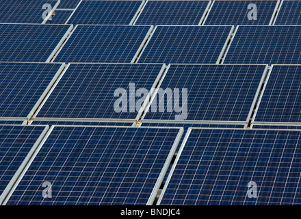 Array of solar panels producing electricity. Rows of monocrystalline photovoltaic solar cells. Stock Photo