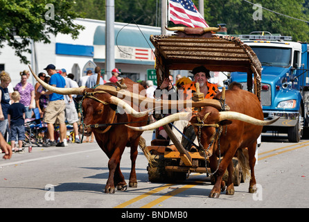Man Dressed as Fred Flintstone Driving Oxen in Oldest Continuous Independence Day Parade in America in New Pekin, Indiana Stock Photo