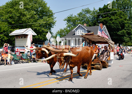 Man Dressed as Fred Flintstone Driving Oxen in Oldest Continuous Independence Day Parade in America in Pekin, Indiana Stock Photo