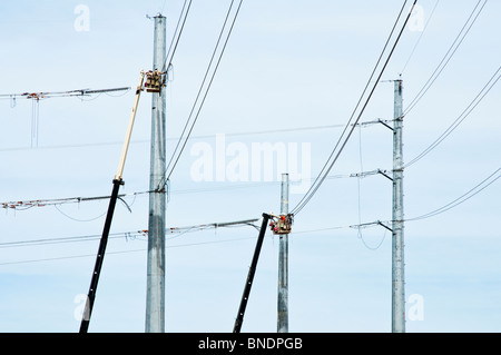 Four construction workers in a cherry picker baskets work on a new power transmission line. Stock Photo