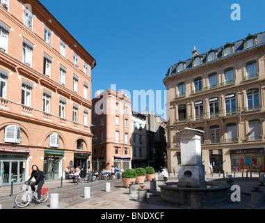 Ornate buildings in Toulouse city centre, France, Europe Stock Photo