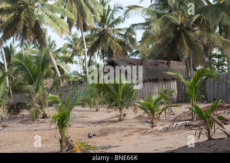The Ewe village of Akosu, near Winneba. Built on a sandspit in front of the Muni lagoon, with huts mostly made from palm fronds. Stock Photo