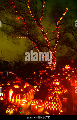 Jack o' lanterns lit up at night, Roger Williams Park Zoo, Providence, Rhode Island, USA Stock Photo
