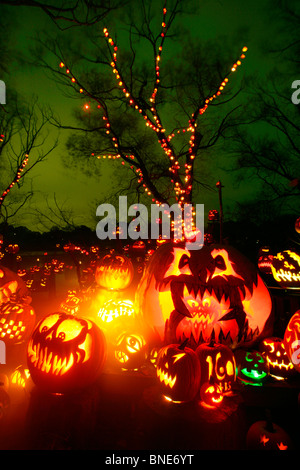 Jack o' lanterns lit up at night, Roger Williams Park Zoo, Providence, Rhode Island, USA Stock Photo