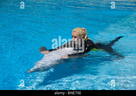 mirage swim with dolphins