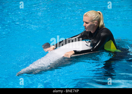mirage swim with dolphins