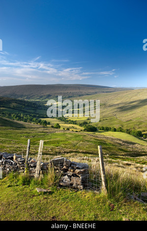 Looking down Dentdale from Whernside pastures. Cumbria Stock Photo