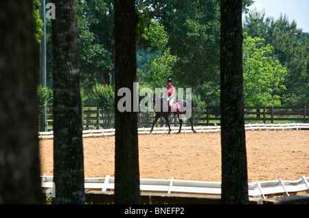 Teenage girl riding horse in manege in Texas, USA Stock Photo
