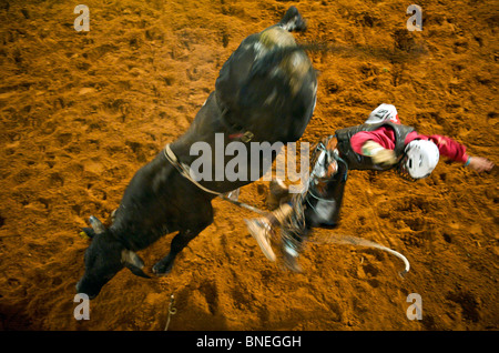 Rodeo member of PRCA jumping from bull at Smalltown in Bridgeport Texas, USA Stock Photo