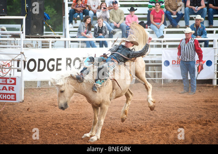 Horse throwing rodeo cowboy member of PRCA from its back In Smalltown Texas Bridgeport, USA Stock Photo