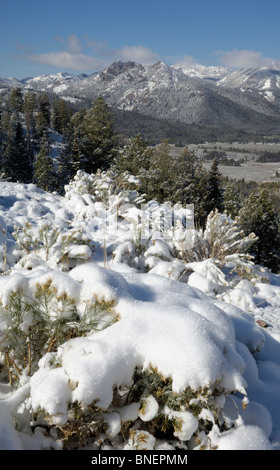 View of the Salmon River / Sawtooth Valley in first winter snow, Idaho, USA Stock Photo