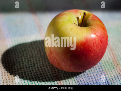 An isolated Cox's Orange Pippin apple. Stock Photo