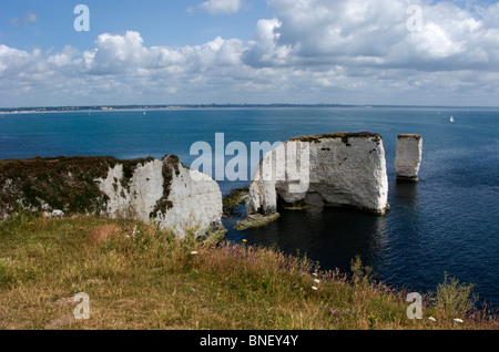 Old Harry Rocks , Studland Bay , Poole Dorset England Stock Photo - Alamy