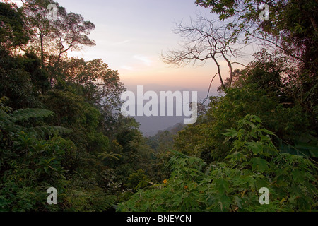 View over tropical rainforest and mountains at dusk in Frasers Hill, Malaysia Stock Photo