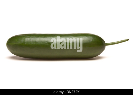 Whole Cucumber from low perspective isolated against white background. Stock Photo