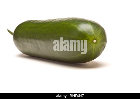 Whole Cucumber from low perspective isolated against white background. Stock Photo