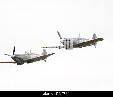 Supermarine Spitfires. Right The Fighter collections Mk LF Vb EP120/G-LFVB AEA. Believed to be the most credited Spitfire in exi Stock Photo