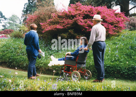 woman with a plaster cast on her leg in a wheelchair visiting gardens in Surrey Stock Photo