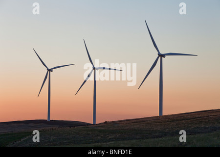 Wind farm, turbines first light, Stock Photo