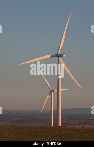 Wind farm, turbines overlooking valley Stock Photo